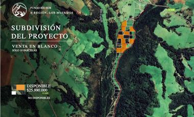 Parcelas "FUNDO RÍO SUR" Los Muermos