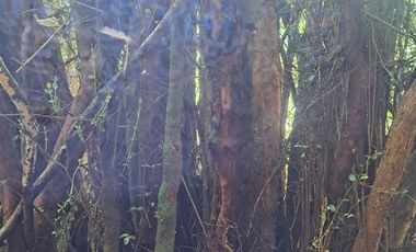 Parcela en Venta en Pargua Ahincó