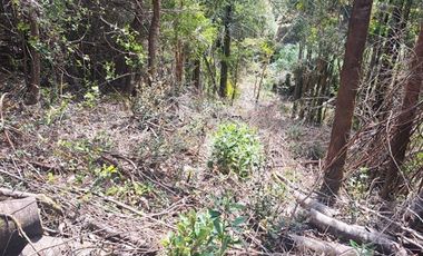 Parcela en Venta en Pargua Ahincó