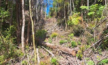 Parcela en Venta en Pargua Ahincó