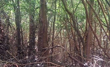 Parcela en Venta en Pargua Ahincó