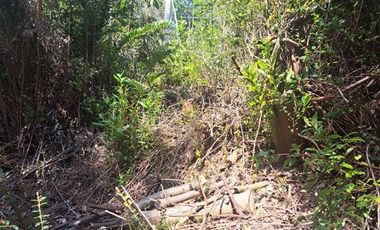 Parcela en Venta en Pargua Ahincó