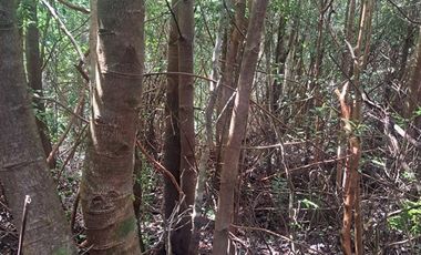 Parcela en Venta en Pargua Ahincó