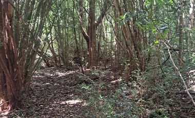 Parcela en Venta en Pargua Ahincó