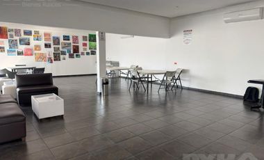 Departamento Amueblado en Renta Zona Tec, Monterrey, Nuevo León