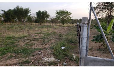 LOTE CAMPESTRE EN VENTA EN AGUAS NEGRAS