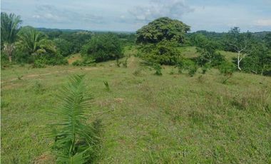 FINCA EN VENTA EN COVEÑAS SUCRE