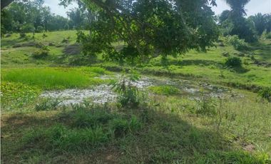 FINCA EN VENTA EN COVEÑAS SUCRE