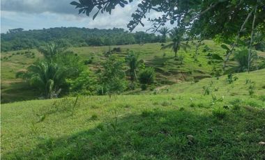 FINCA EN VENTA EN COVEÑAS SUCRE