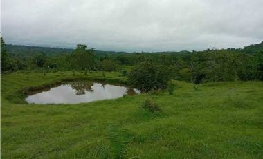 FINCA EN VENTA EN COVEÑAS SUCRE