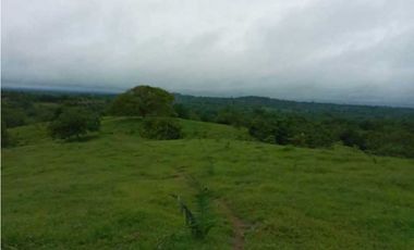 FINCA EN VENTA EN COVEÑAS SUCRE
