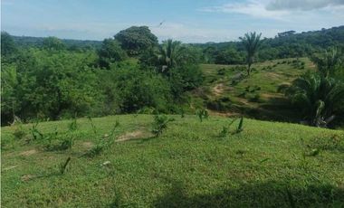 FINCA EN VENTA EN COVEÑAS SUCRE