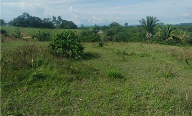 FINCA EN VENTA EN COVEÑAS SUCRE