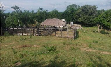 FINCA EN VENTA EN COVEÑAS SUCRE
