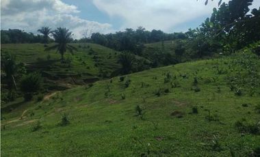FINCA EN VENTA EN COVEÑAS SUCRE