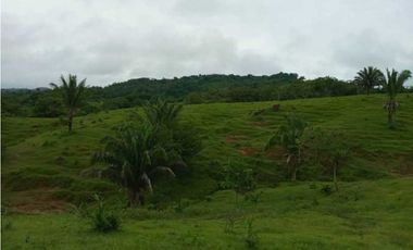 FINCA EN VENTA EN COVEÑAS SUCRE