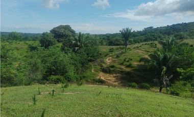 FINCA EN VENTA EN COVEÑAS SUCRE