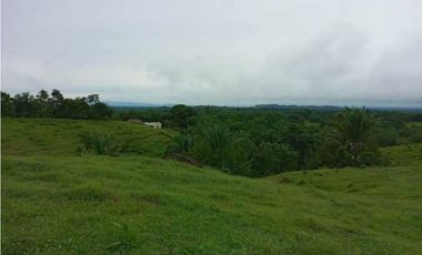 FINCA EN VENTA EN COVEÑAS SUCRE