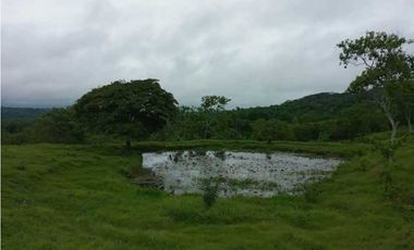 FINCA EN VENTA EN COVEÑAS SUCRE