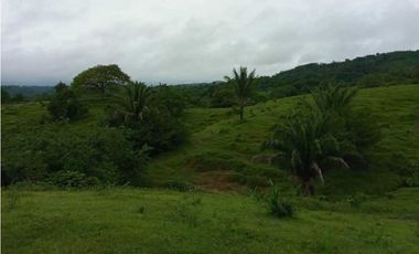 FINCA EN VENTA EN COVEÑAS SUCRE