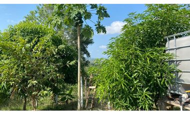 FINCA EN VENTA EN SALITRAL