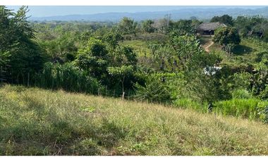 FINCA EN VENTA EN SALITRAL