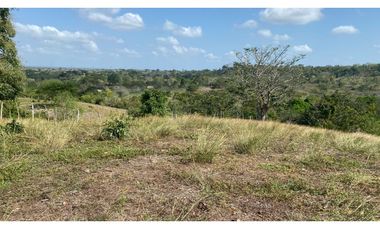 FINCA EN VENTA EN SALITRAL