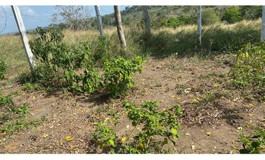 FINCA EN VENTA EN SALITRAL