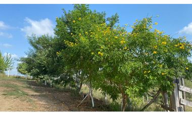 FINCA EN VENTA EN SALITRAL