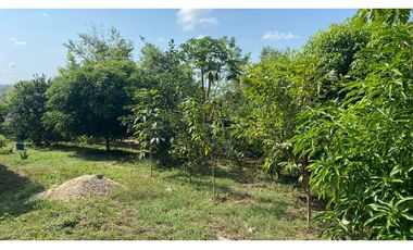 FINCA EN VENTA EN SALITRAL