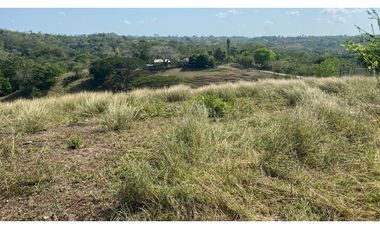 FINCA EN VENTA EN SALITRAL