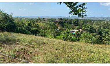 FINCA EN VENTA EN SALITRAL