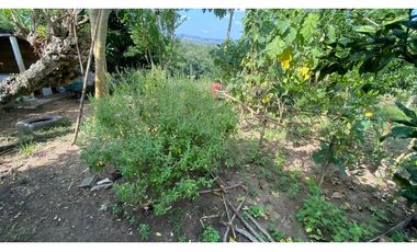 FINCA EN VENTA EN SALITRAL