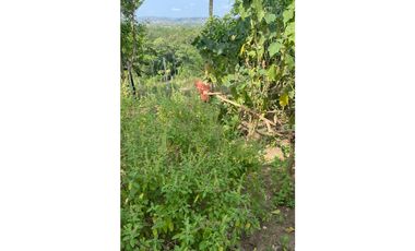 FINCA EN VENTA EN SALITRAL