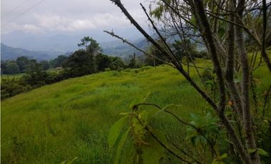 Finca de 10 fanegadas en la Vega Cundinamarca