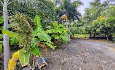 🌿 SE VENDE FINCA EN  CERETÉ 🌞
Conjunto Cerrado.