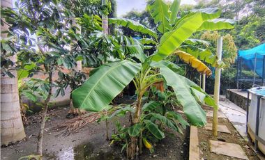 🌿 SE VENDE FINCA EN  CERETÉ 🌞
Conjunto Cerrado.