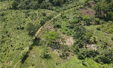 Venta o permuta de finca de 44 hectáreas Carmen de Bolívar