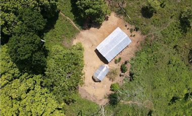 Venta o permuta de finca de 44 hectáreas Carmen de Bolívar
