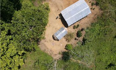 Venta o permuta de finca de 44 hectáreas Carmen de Bolívar