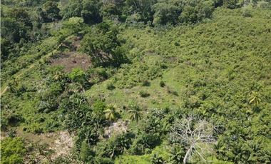 Venta o permuta de finca de 44 hectáreas Carmen de Bolívar