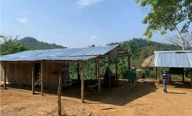 Venta o permuta de finca de 44 hectáreas Carmen de Bolívar