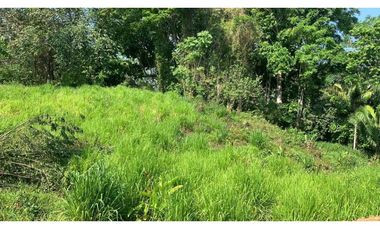 Venta o permuta de finca de 44 hectáreas Carmen de Bolívar