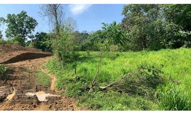 Venta o permuta de finca de 44 hectáreas Carmen de Bolívar