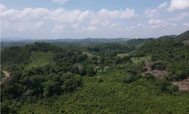 Venta o permuta de finca de 44 hectáreas Carmen de Bolívar