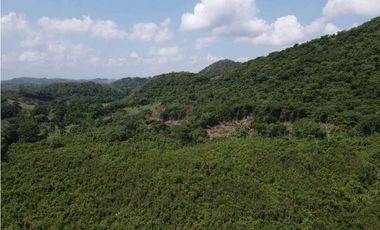 Venta o permuta de finca de 44 hectáreas Carmen de Bolívar