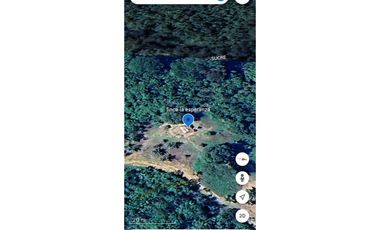 Venta o permuta de finca de 44 hectáreas Carmen de Bolívar