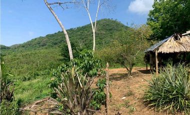 Venta o permuta de finca de 44 hectáreas Carmen de Bolívar