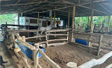 FINCA en venta ubicada en Cerete