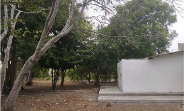 Venta casa finca en conjunto residencial campestre en Monteria